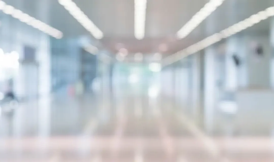 Funções Executivas na Prática: Da Avaliação à Reabilitação no Cotidiano